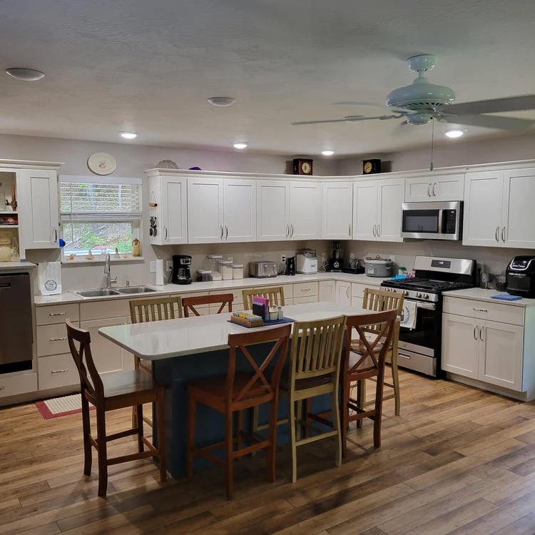 Carr Residence kitchen detail — CBS Cabinets Southwest Missouri