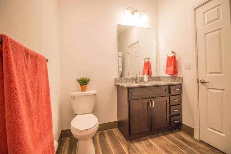 Holland Apartments Springfield MO bathroom vanity by CBS Cabinets